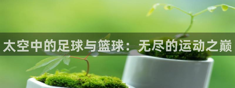 斗体育app官网入口