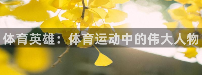 斗体育直播app下载：体育英雄：体育运动中的伟大人物
