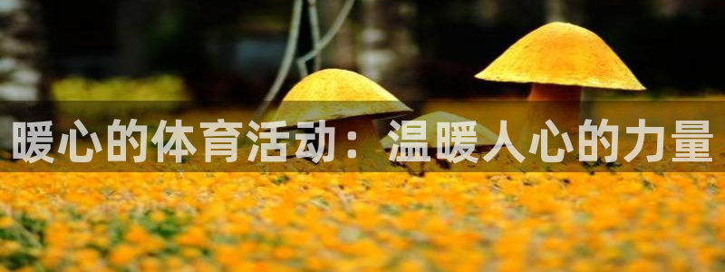 斗体育英超西甲德甲：暖心的体育活动：温暖人心的力量
