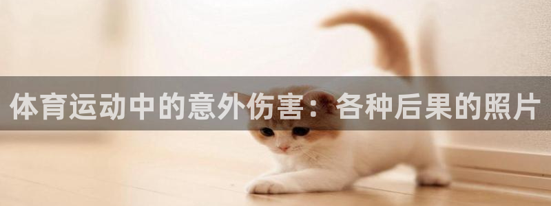斗体育足球直播