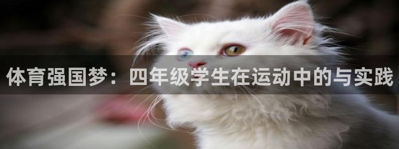 斗体育NBA免费观看：体育强国梦：四年级学生在运动中的与实践