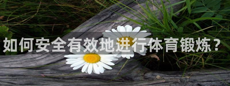 斗体育
