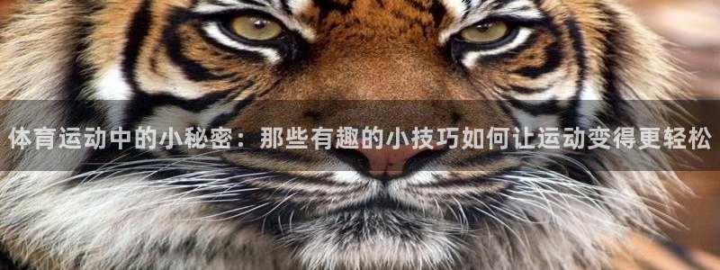斗体育在线直播：体育运动中的小秘密：那些有趣的小技巧如何让运动变得更轻松