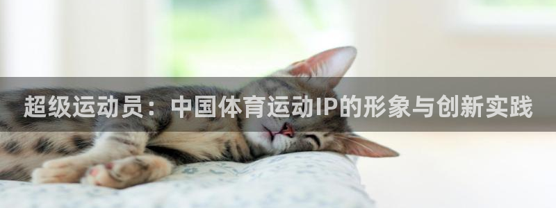 斗体育百科：超级运动员：中国体育运动IP的形象与创新实践