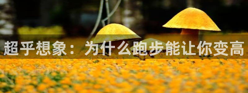 斗体育小鱼：超乎想象：为什么跑步能让你变高